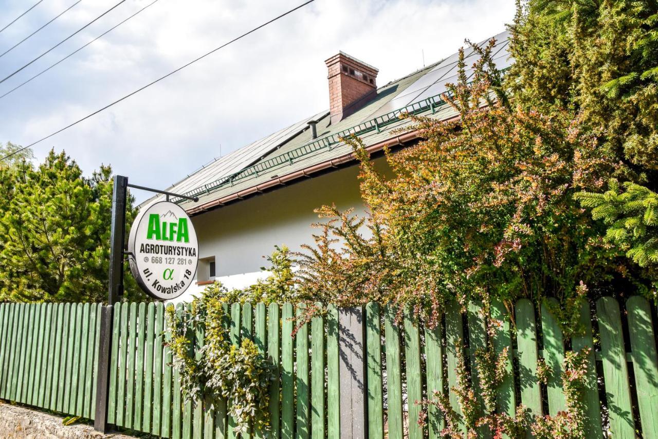Agroturystyka Alfa Bystra  外观 照片