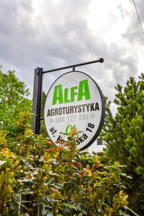 Agroturystyka Alfa Bystra  外观 照片